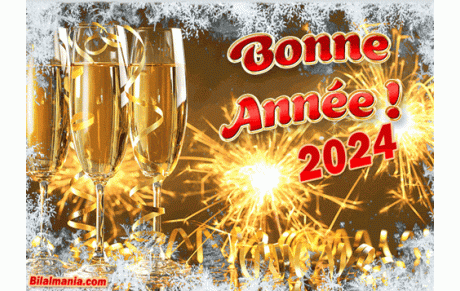 MEILLEURS VOEUX 2024 A VOUS TOUS